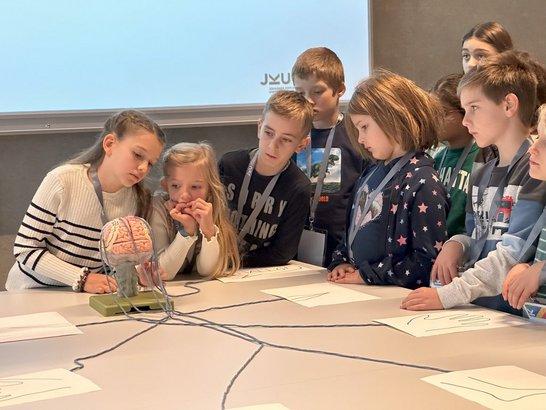 Kinder untersuchen ein Modellgehirn